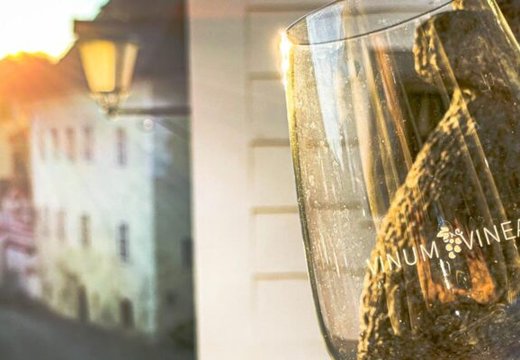 VINUM VINEA - Kremsmünster